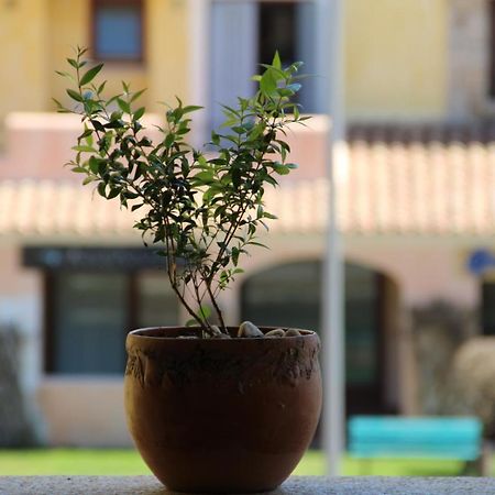 Appartamento Le Vele Loiri Porto San Paolo Exterior foto